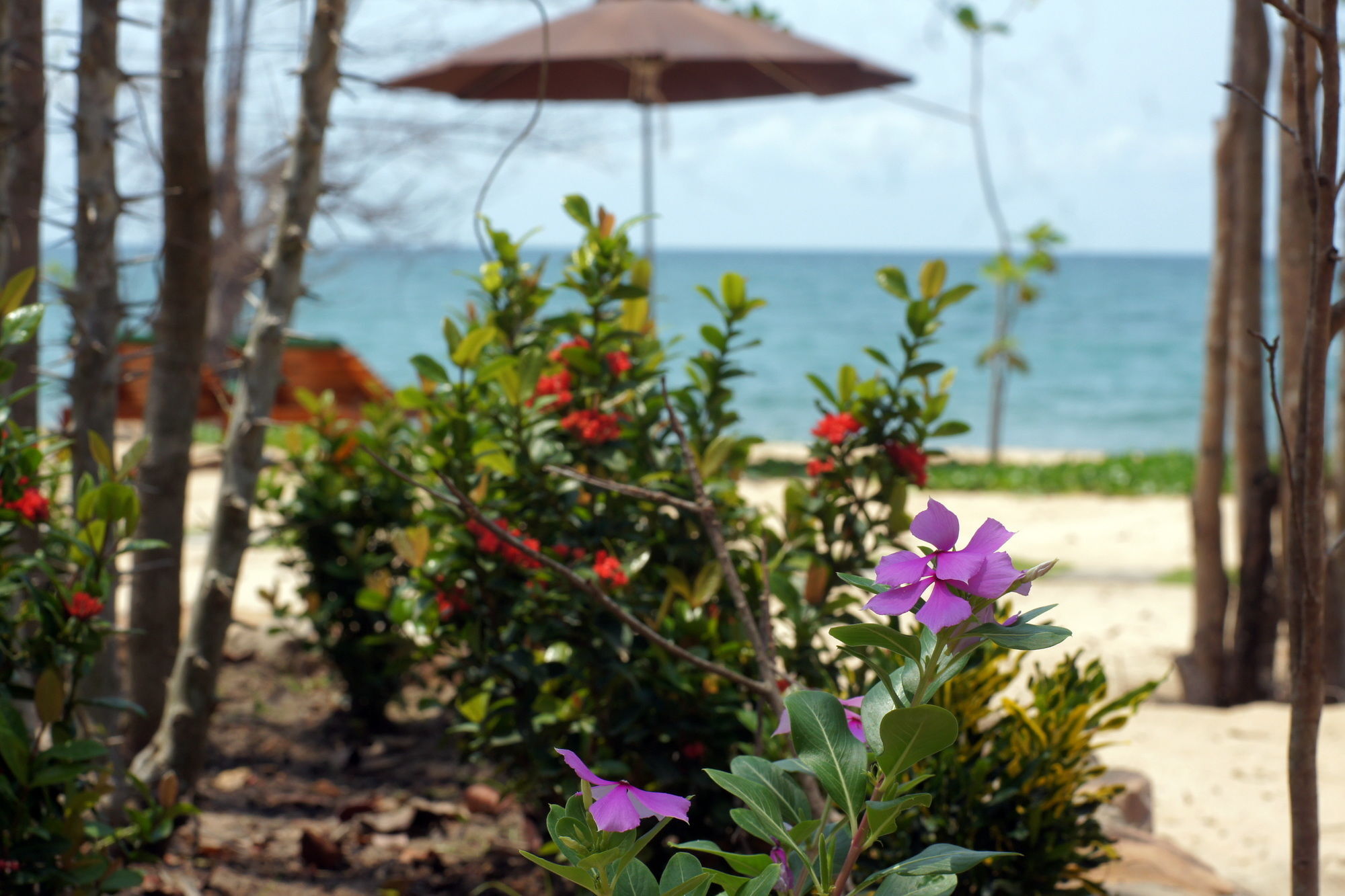 Gold Sand Beach Bungalow Phu Quoc Dış mekan fotoğraf